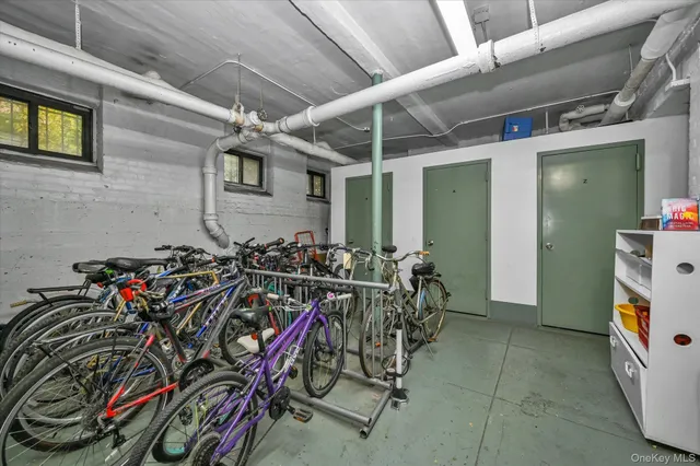 a view of a backyard with plants and large trees
