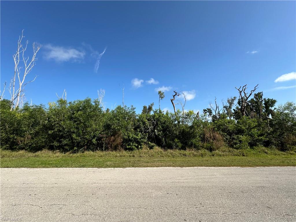 5578 Easy Street Bokeelia, FL 33922 - Photo 3 of 9 a view of a yard