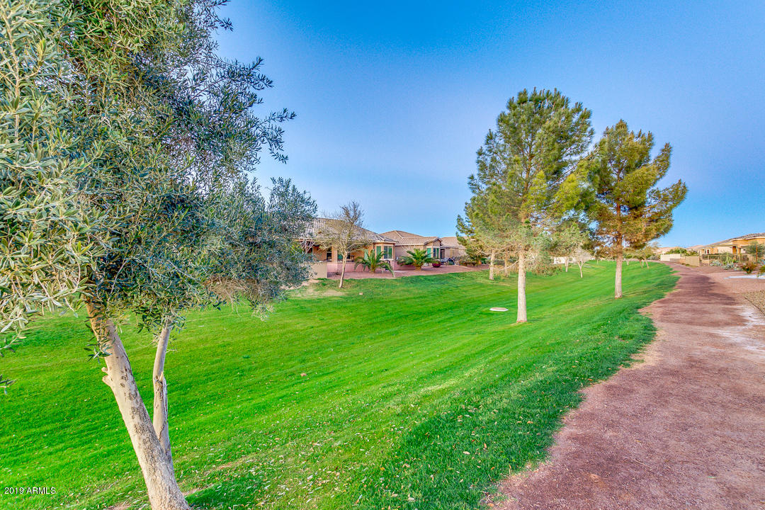 42114 West Cribbage Road Maricopa, AZ 85138 - Photo 5 of 68 Greenbelt View