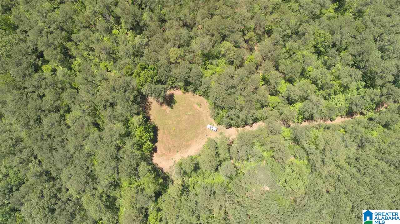 0 Chapman Road, Unit 175 Goodwater, AL 35072 - Photo 15 of 16