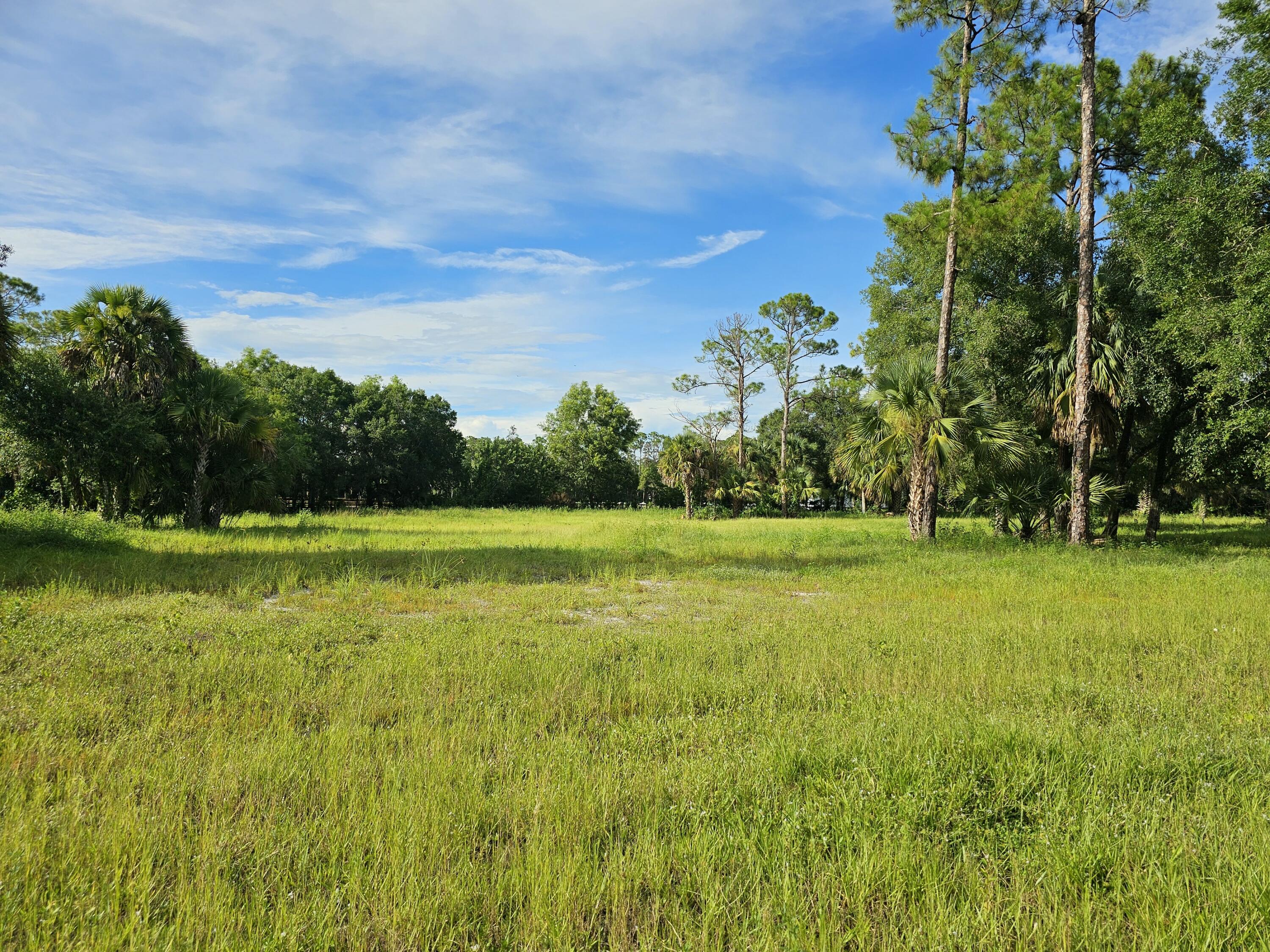 a view of a golf course with a lake