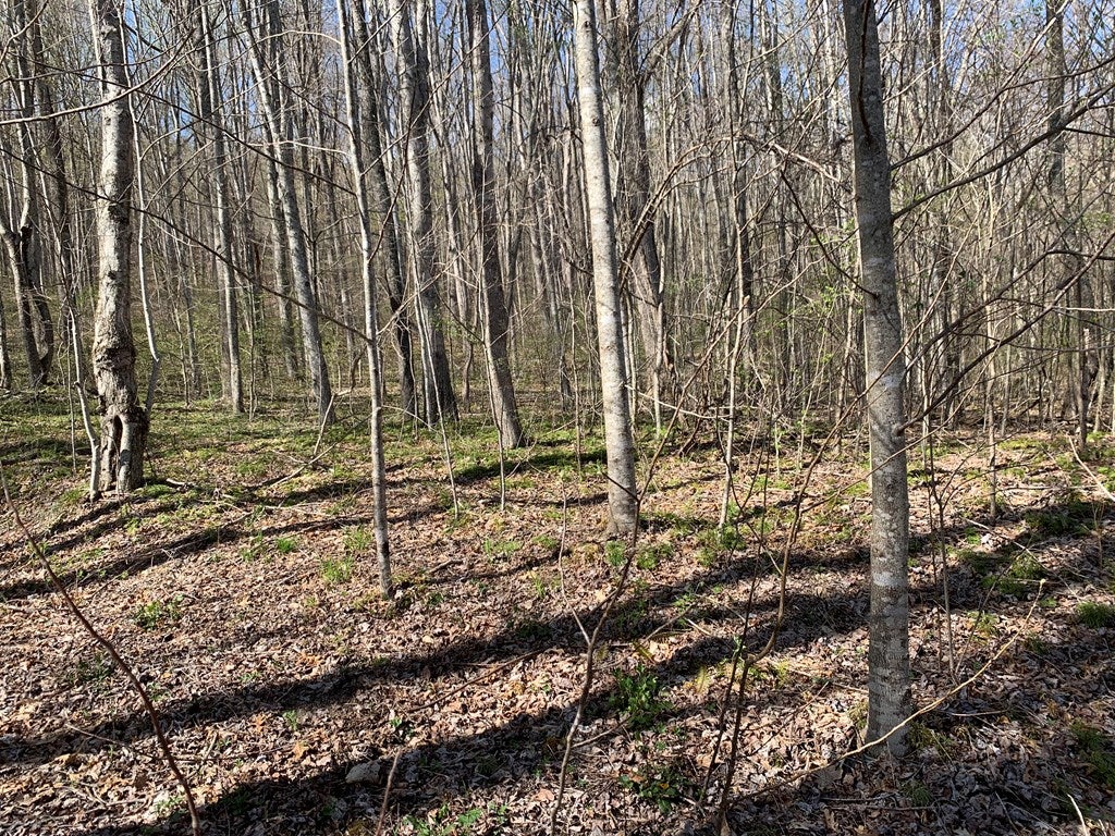 Tbd Mud Fork Road, Unit 1 Bluefield, VA 24605 - Photo 9 of 21 Gallery Image 9