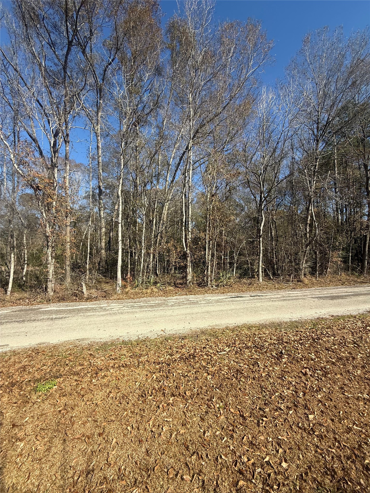 3669c Splendora Tx 77327 Splendora, TX 77372 - Photo 2 of 3