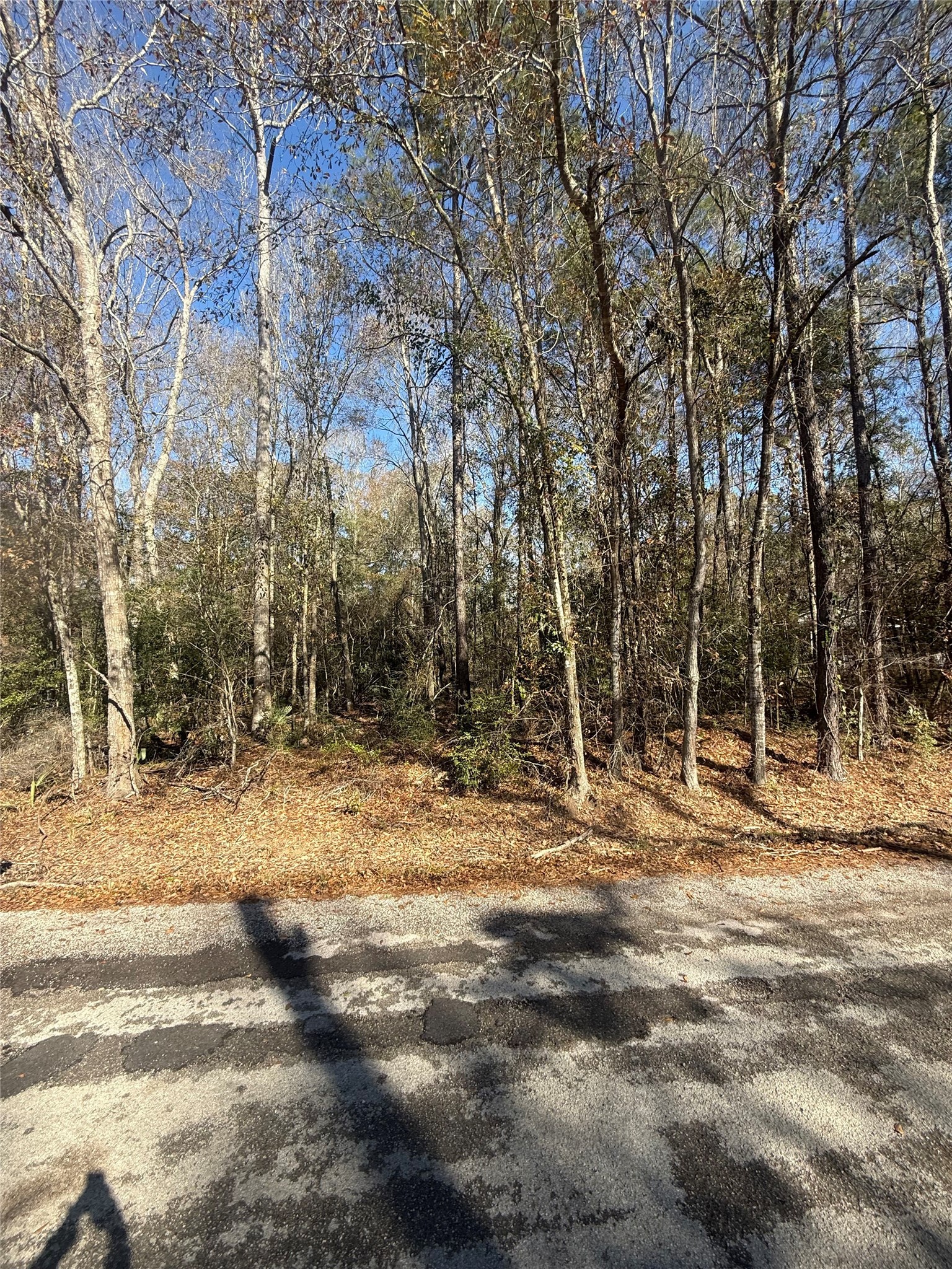 3669c Splendora Tx 77327 Splendora, TX 77372 - Photo 3 of 3