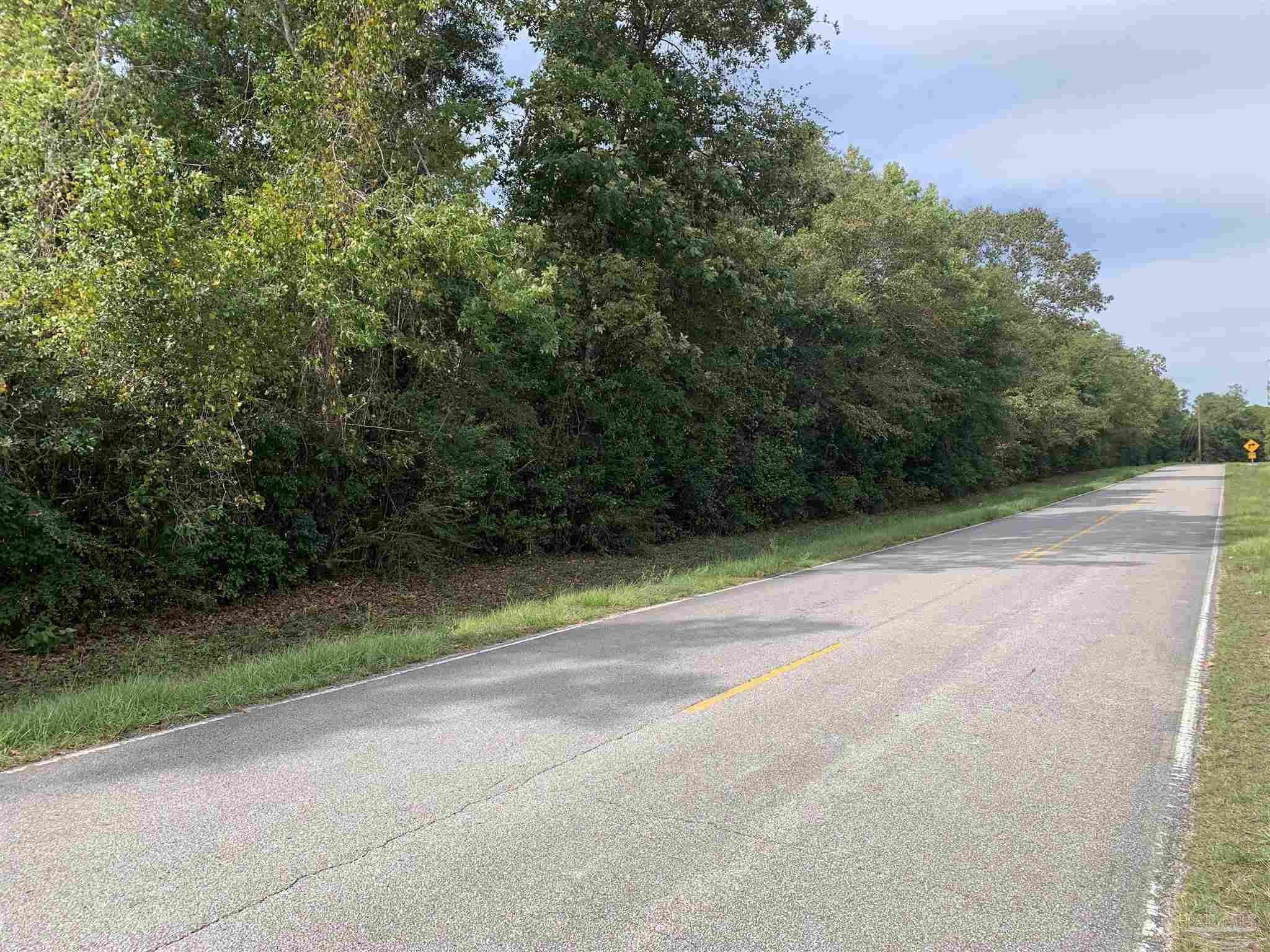 0 Breastworks Road McDavid, FL 32568 - Photo 2 of 3 Property in front of Parcel, not included