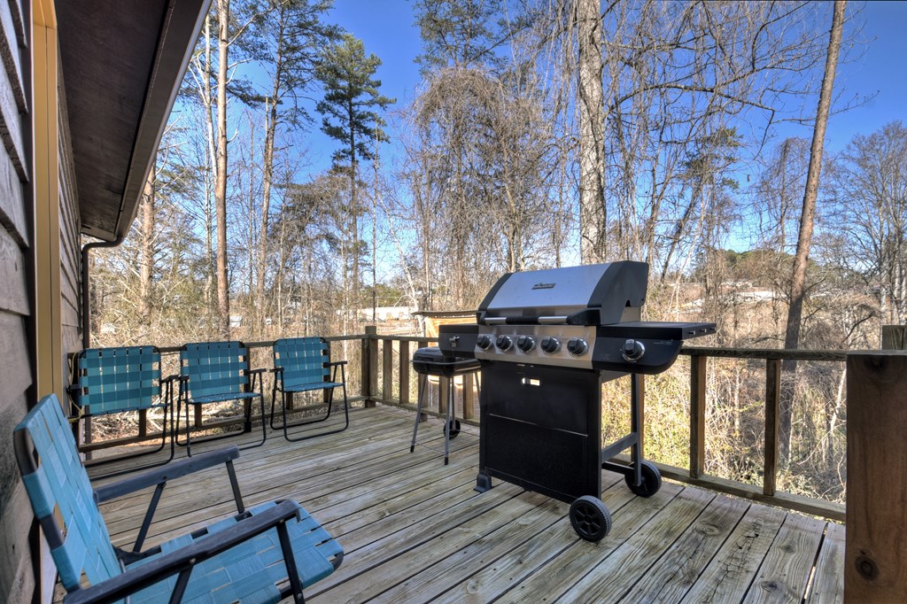 223 Friendship Road Blue Ridge, GA 30513 - Photo 12 of 37