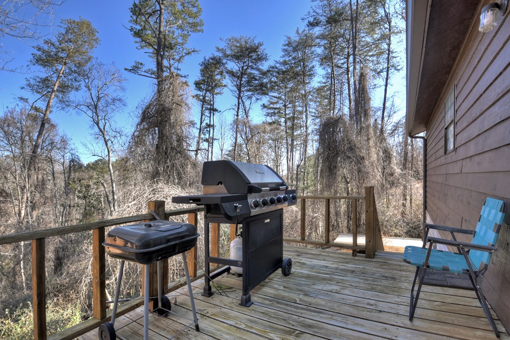 223 Friendship Road Blue Ridge, GA 30513 - Photo 19 of 37