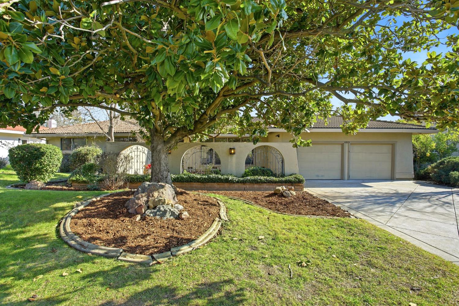a view of a backyard with large trees