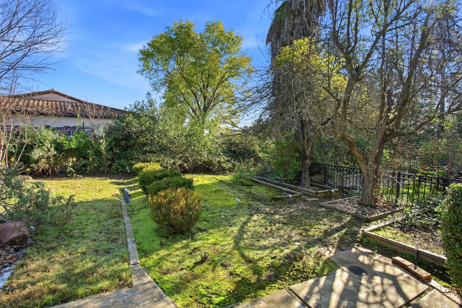 6923 Pera Drive Rancho Murieta, CA 95683 - Photo 34 of 35 a view of a yard with plants and large trees