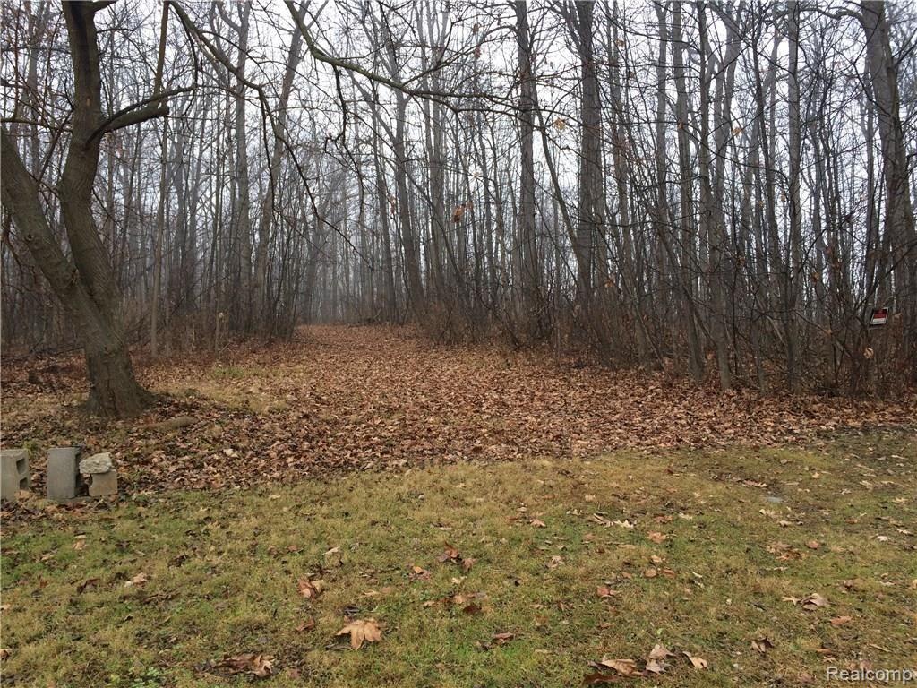 3834 Hunt Road Lapeer, MI 48446 - Photo 6 of 22 C:\Users\TrishaL\OneDrive\Photos\Hunt Rd\20151207_191924714_iOS.jpg