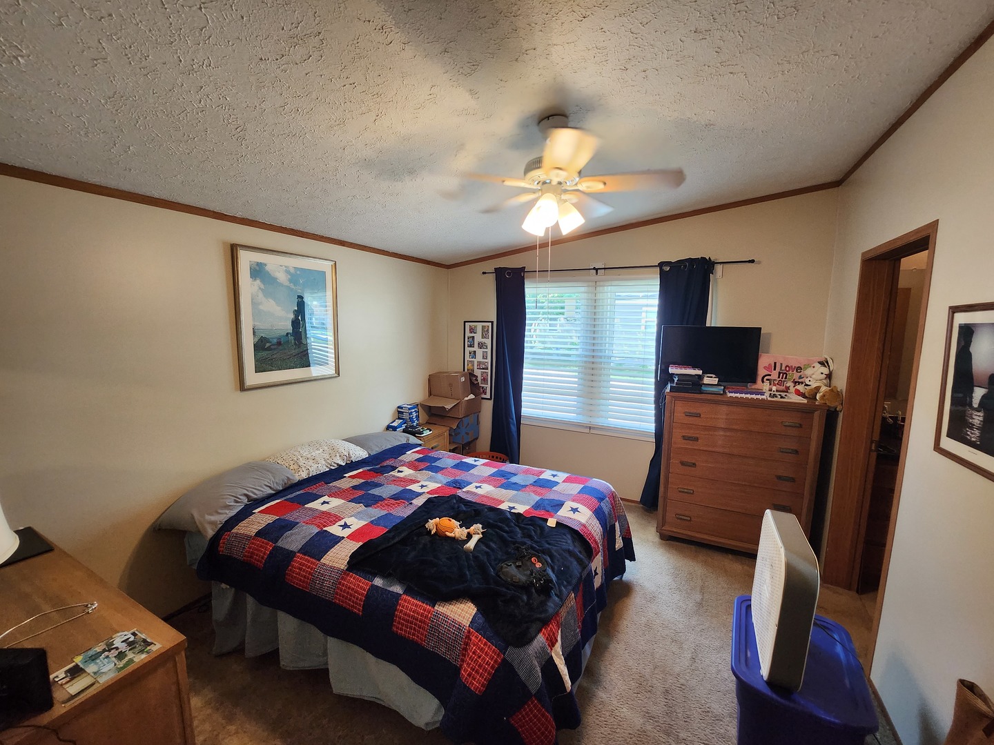 1241 Country Club Road Elgin, IL 60123 - Photo 11 of 12 a bedroom with a bed next to a window with a flat screen tv