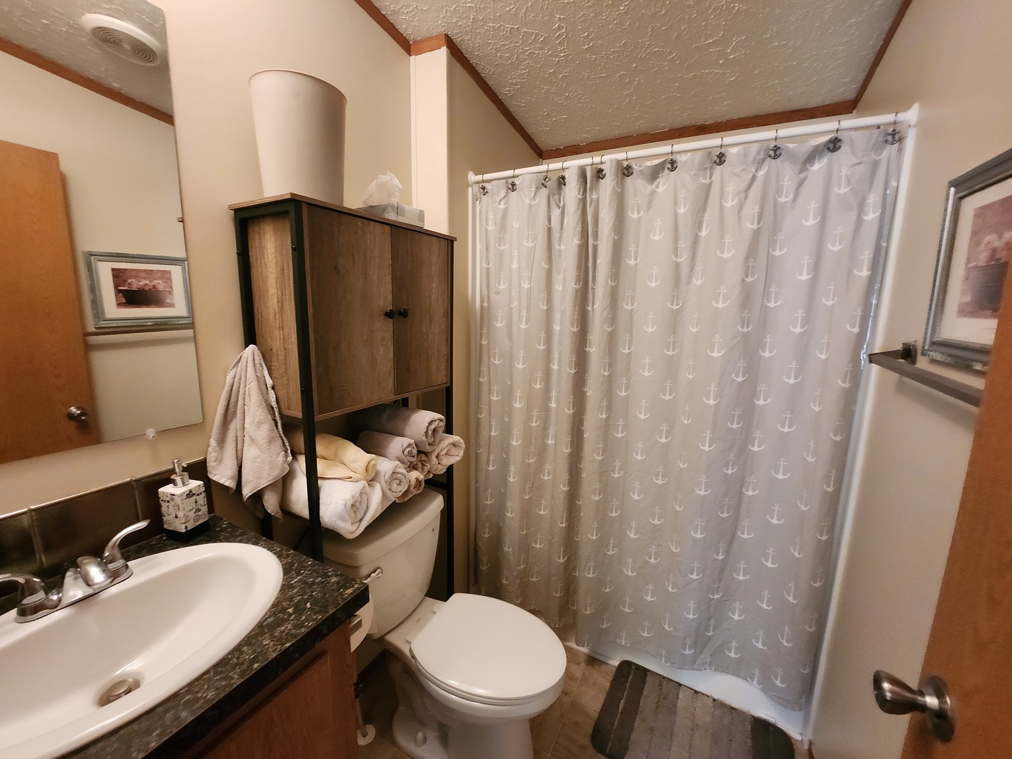 1241 Country Club Road Elgin, IL 60123 - Photo 9 of 12 a bathroom with a sink a toilet a mirror and shower curtain