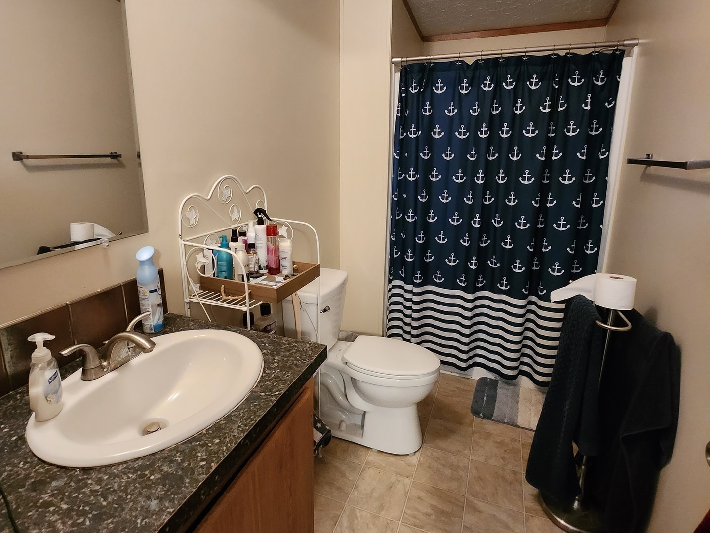 1241 Country Club Road Elgin, IL 60123 - Photo 10 of 12 a bathroom with a sink toilet and a mirror