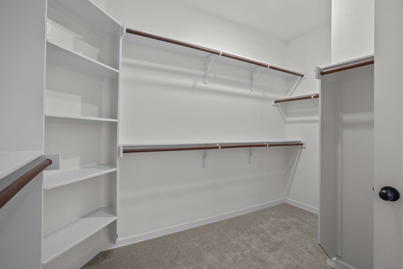 245 Razzmatazz Trail Buda, TX 78610 - Photo 21 of 37 Spacious walk-in closet featuring built-in shelving, multiple hanging rods, white walls, white trim, and neutral carpeting
