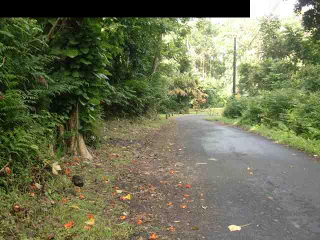720 Nahiku Road Hana, HI 96713 - Photo 2 of 9 a view of a yard with plants and a tree