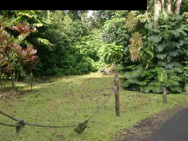 720 Nahiku Road Hana, HI 96713 - Photo 8 of 9 a view of a garden with a tree