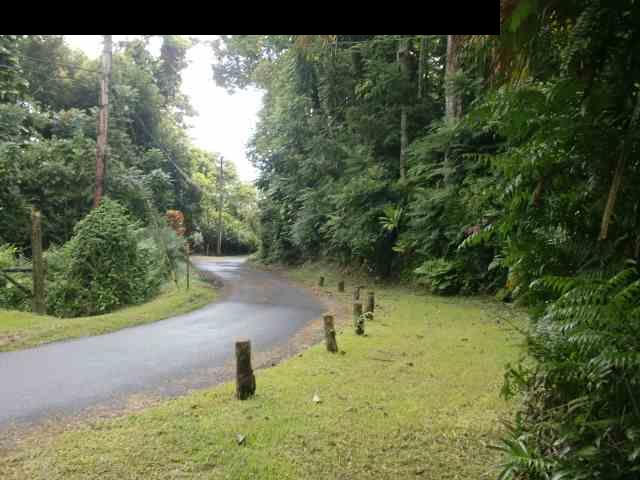 720 Nahiku Road Hana, HI 96713 - Photo 9 of 9