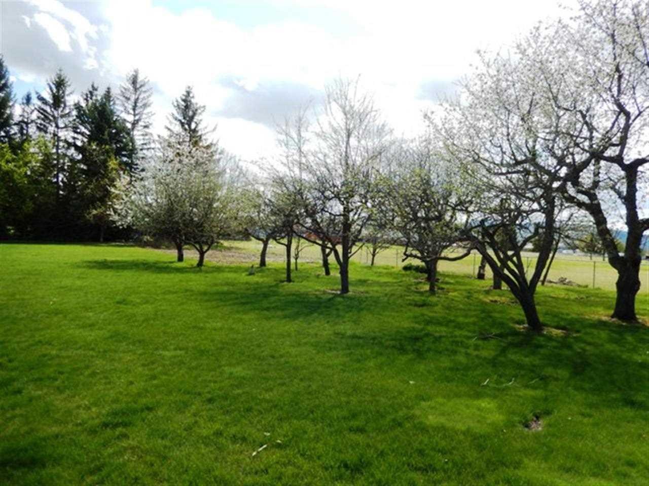 2616 South Sullivan Road Veradale, WA 99037 - Photo 18 of 20 Gallery Image 18