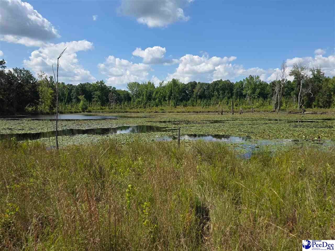 0 Hillian-Edwards Road Cheraw, SC 29520 - Photo 21 of 28 Gallery Image 21
