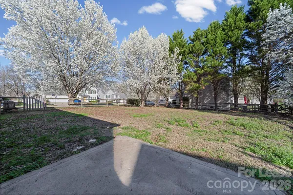 a view of yard with tree s