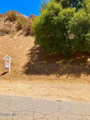 a view of a yard with an trees