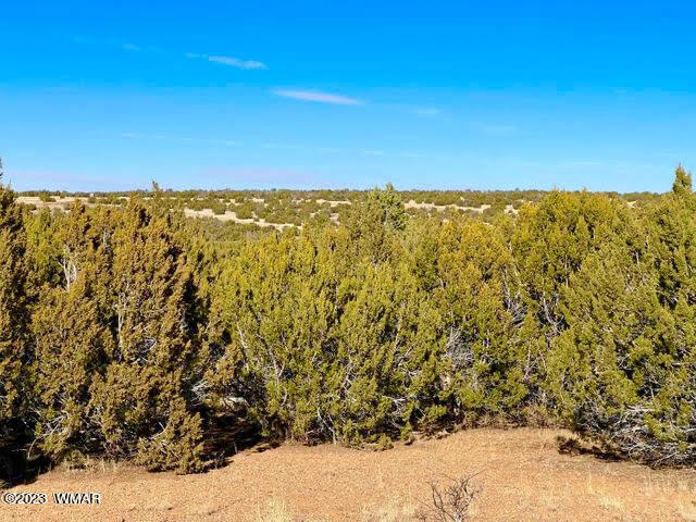 1971 Tee Street Show Low, AZ 85901 - Photo 1 of 35