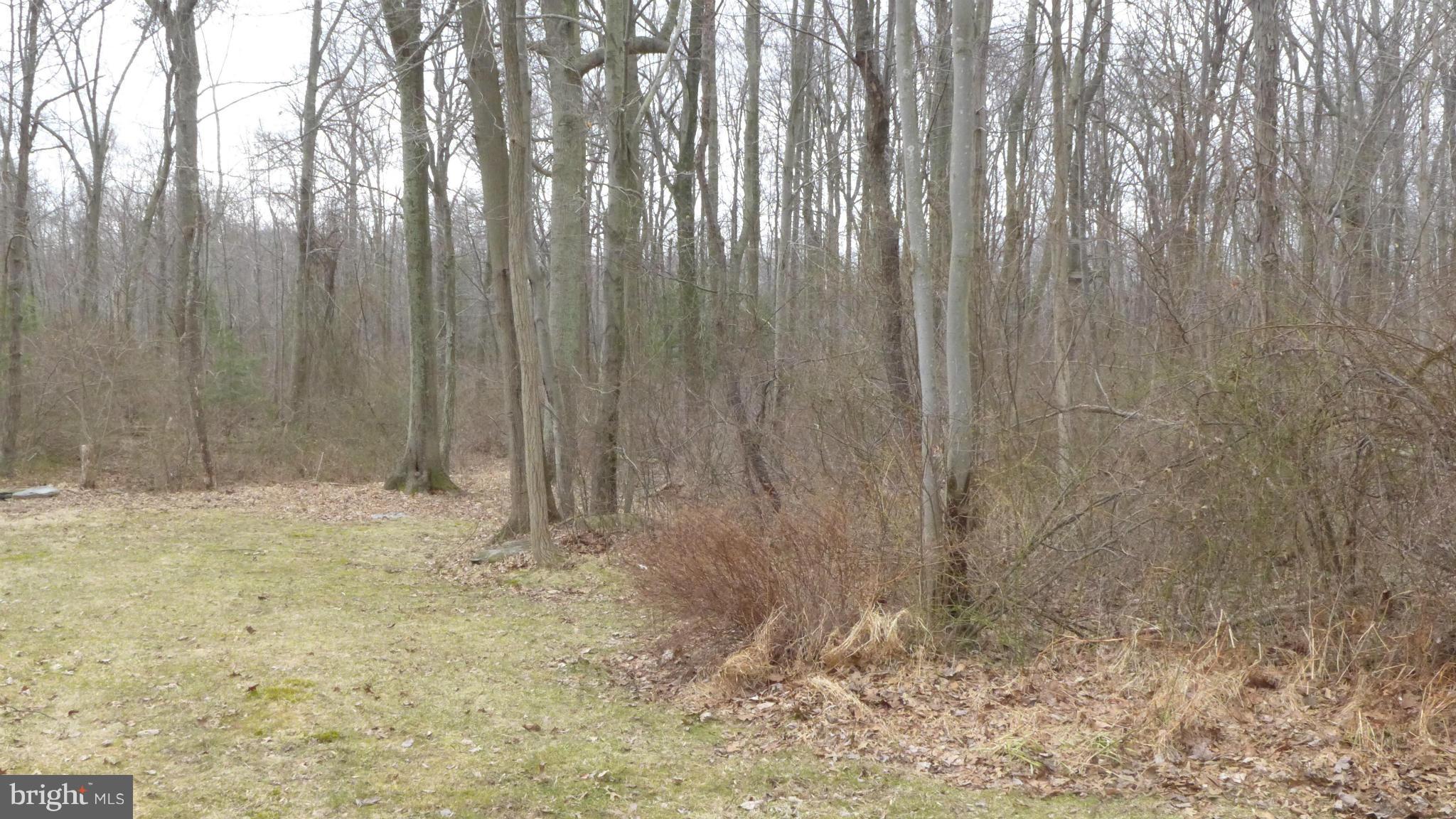 4045 Forrest School Road Smithsburg, MD 21783 - Photo 21 of 30 View