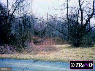 Lot Wild Wild Run Road Barto, PA 19504 - Photo 1 of 1 Gallery Image 1