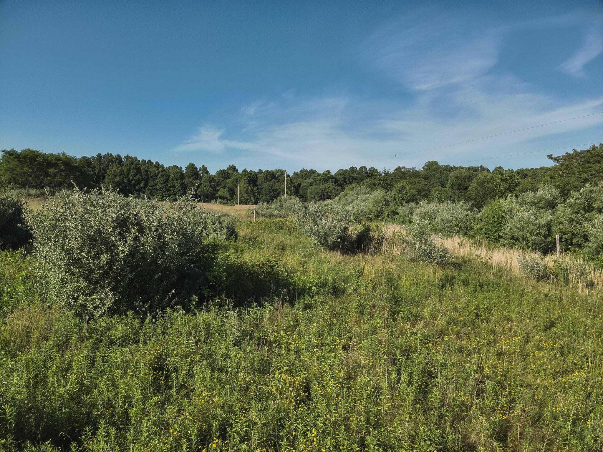 0 South Side Sand Ridge Road Albany, OH 45710 - Photo 25 of 90 27. Field