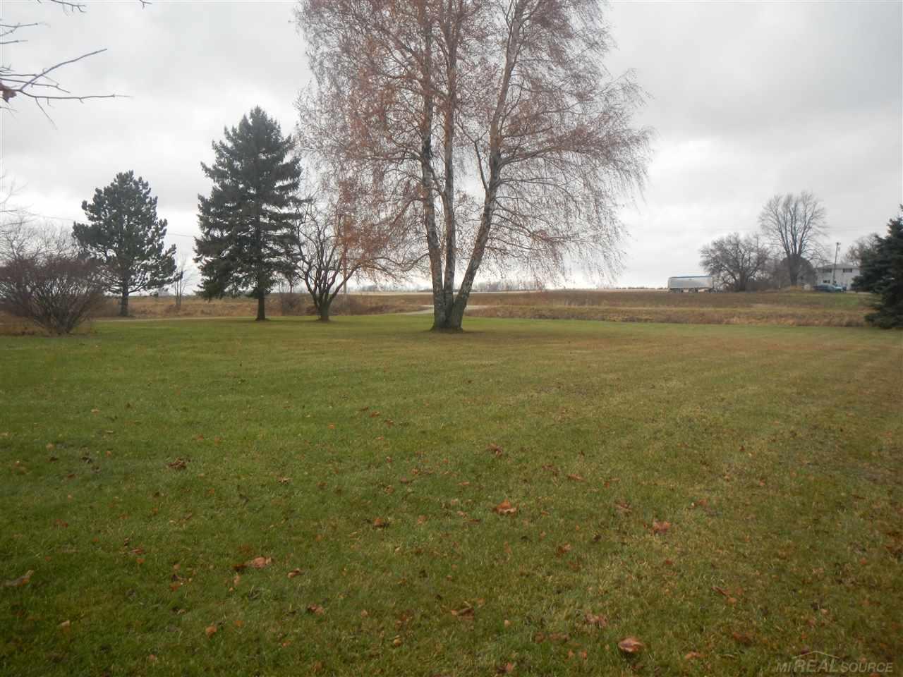 2481 North Ruth Road Deckerville, MI 48427 - Photo 13 of 31 50002683-12.JPG