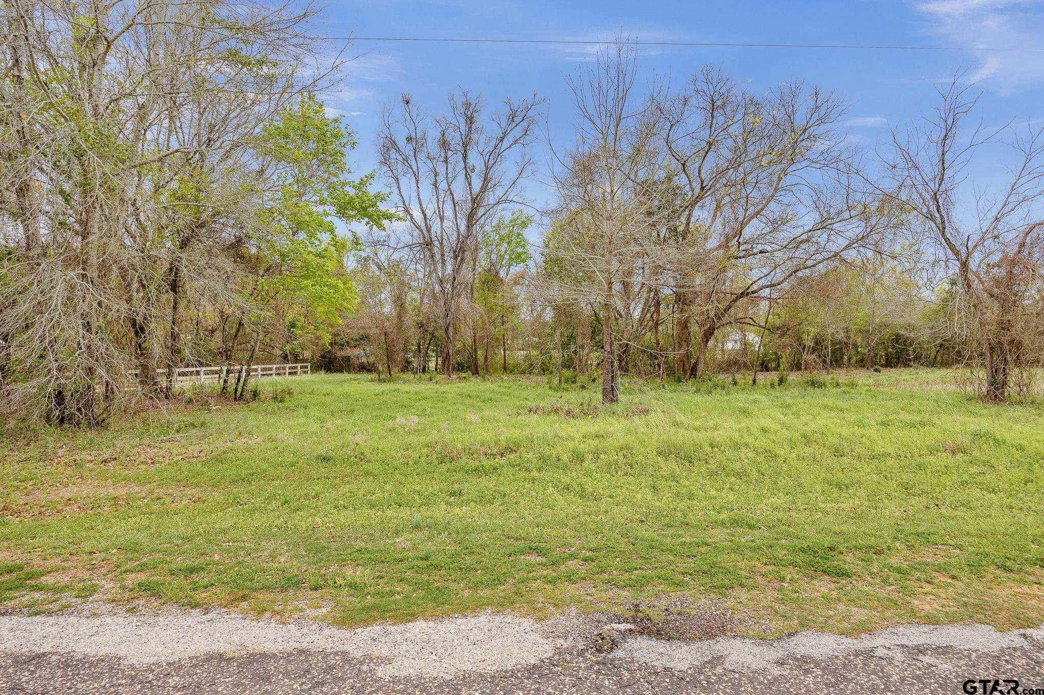 a view of a field with trees