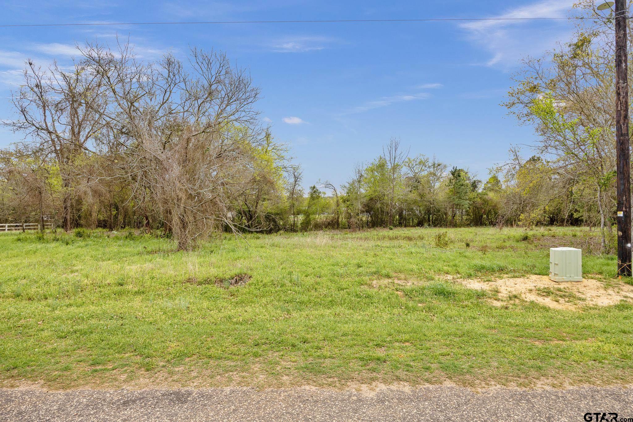 Tbd Tbd Frankston, TX 75763 - Photo 2 of 12 a large body of water with a house in the background