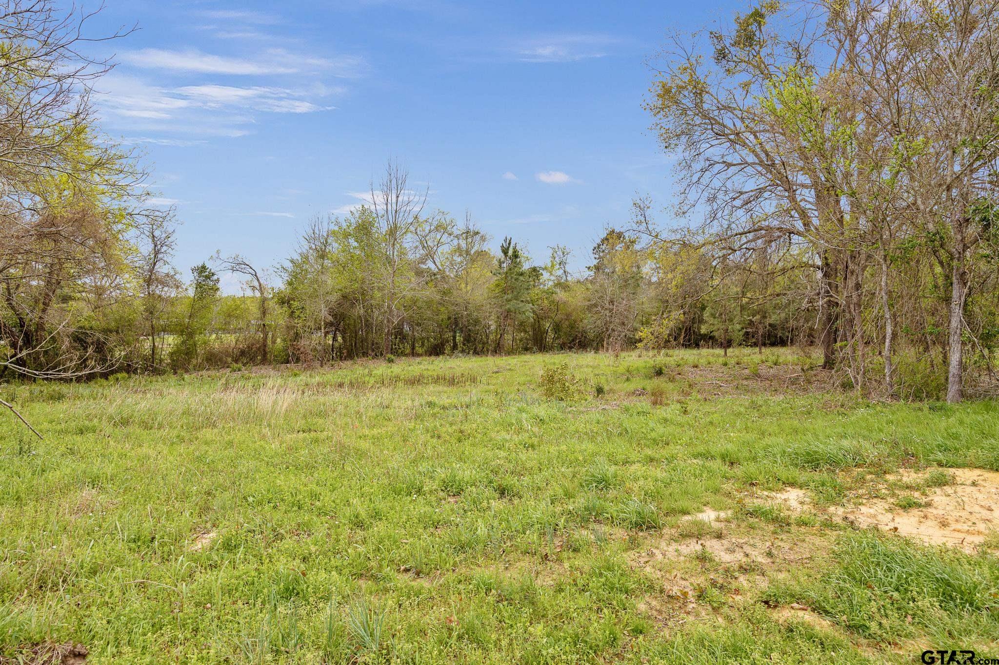 Tbd Tbd Frankston, TX 75763 - Photo 3 of 12 a view of yard with green space