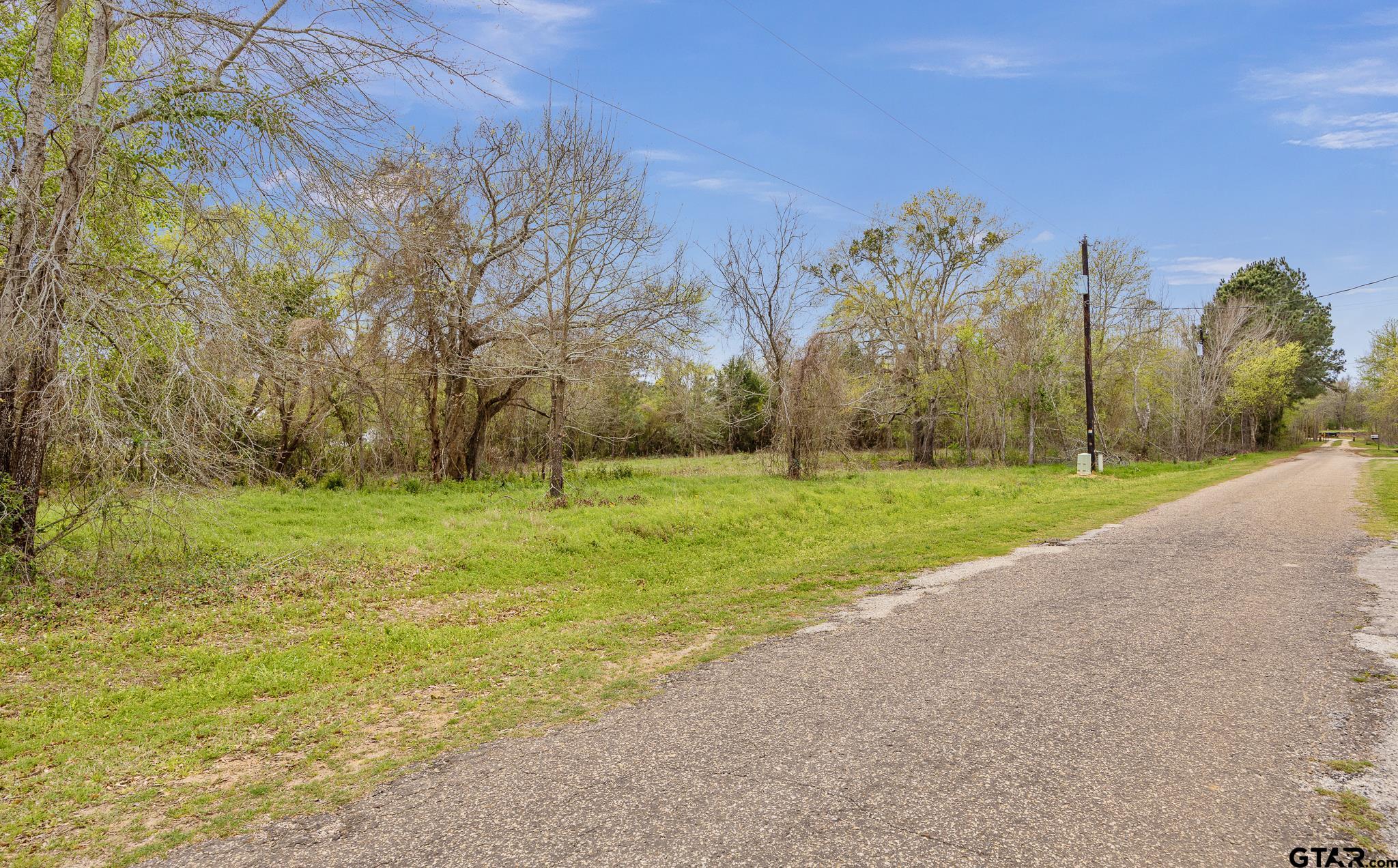 Tbd Tbd Frankston, TX 75763 - Photo 4 of 12 a view of a field with trees