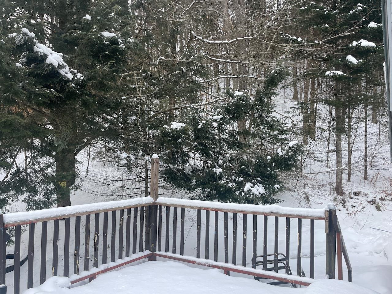 6084 Moretown Mountain Road Moretown, VT 05660 - Photo 17 of 23