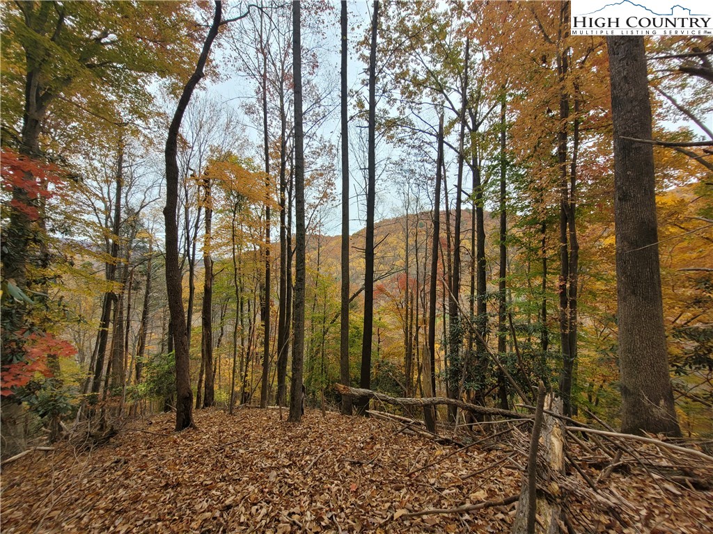 812 Jake's Mountain Road Deep Gap, NC 28618 - Photo 48 of 50 Gallery Image 48