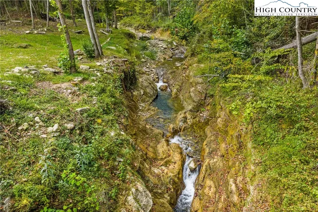 a view of a yard with a tree
