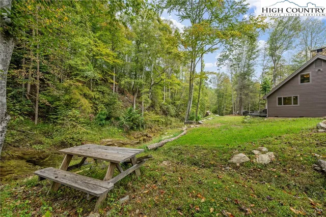 a view of a backyard with plants and large trees