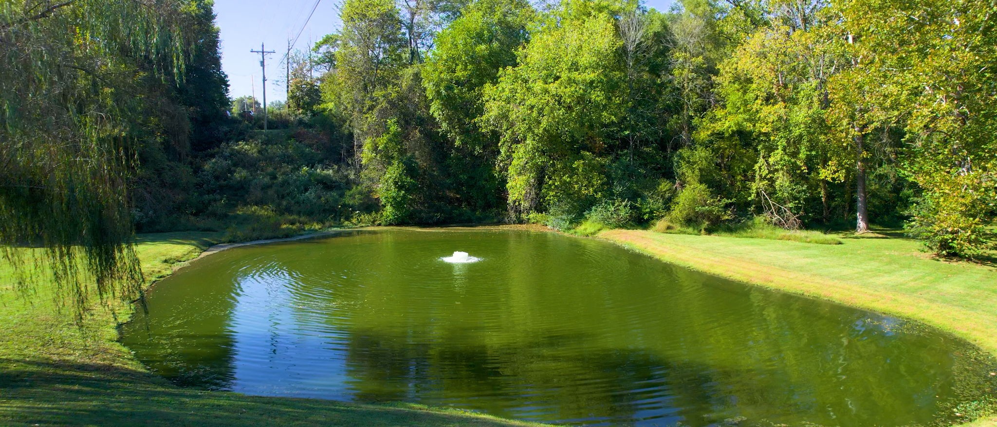 3400 Cobblestone Mills Road Spring Hill, TN 37174 - Photo 2 of 63 a view of swimming pool from a yard