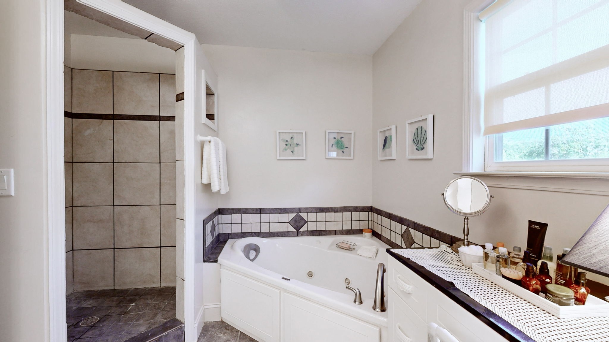 3400 Cobblestone Mills Road Spring Hill, TN 37174 - Photo 29 of 63 a bathroom with a bathtub and a sink