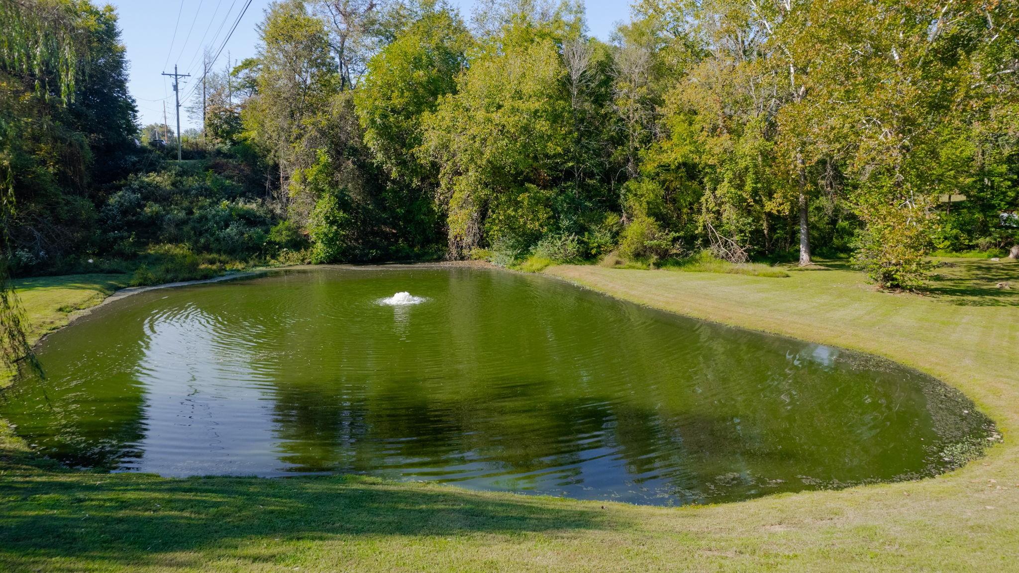 3400 Cobblestone Mills Road Spring Hill, TN 37174 - Photo 50 of 63