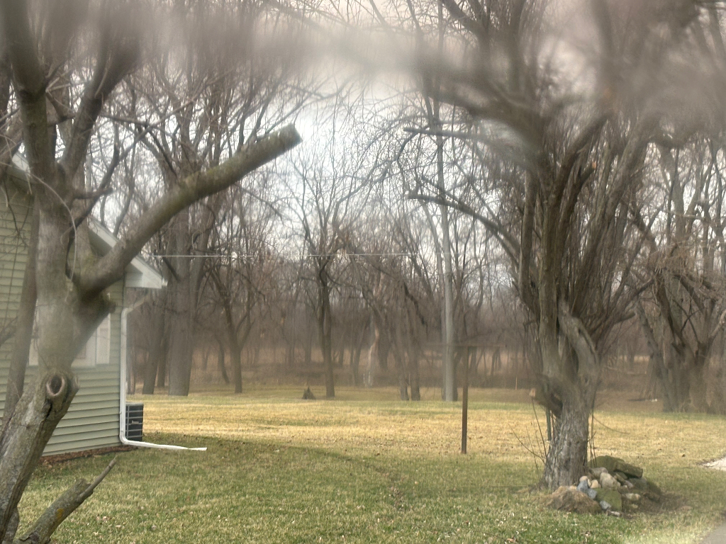 1760 Pine Bluff Road Morris, IL 60450 - Photo 2 of 10 a view of a yard with large trees