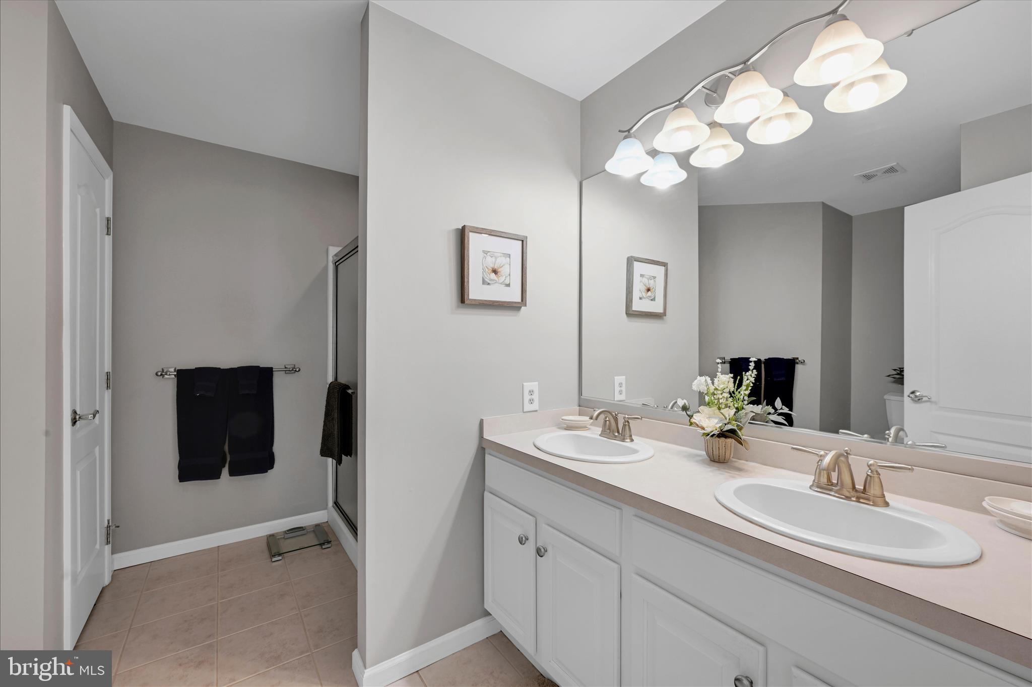 115 Hawk Valley Lane Denver, PA 17517 - Photo 28 of 43 Master Bathroom