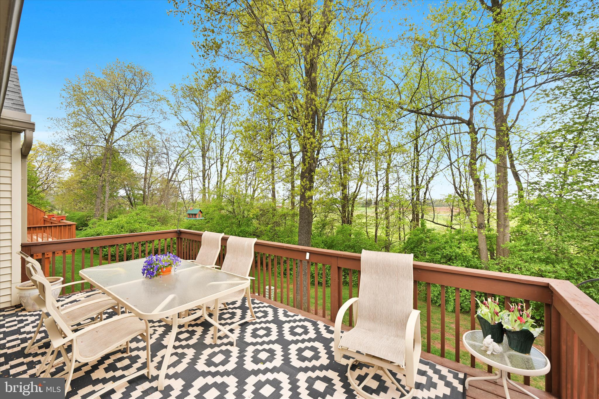 115 Hawk Valley Lane Denver, PA 17517 - Photo 38 of 43 Back Patio