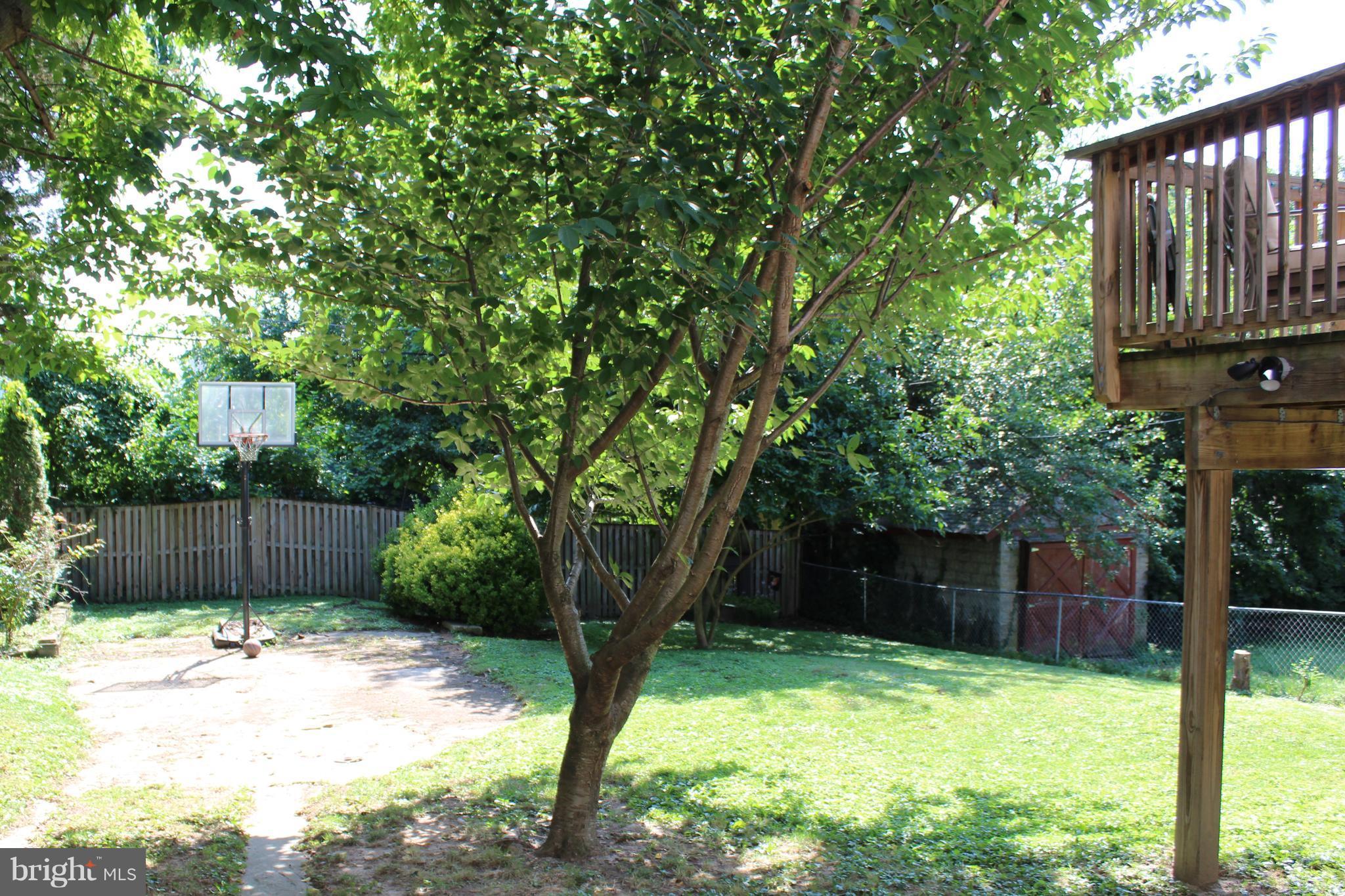 3207 Beverly Road Baltimore, MD 21214 - Photo 5 of 23 Expansive yard for warm weather activities