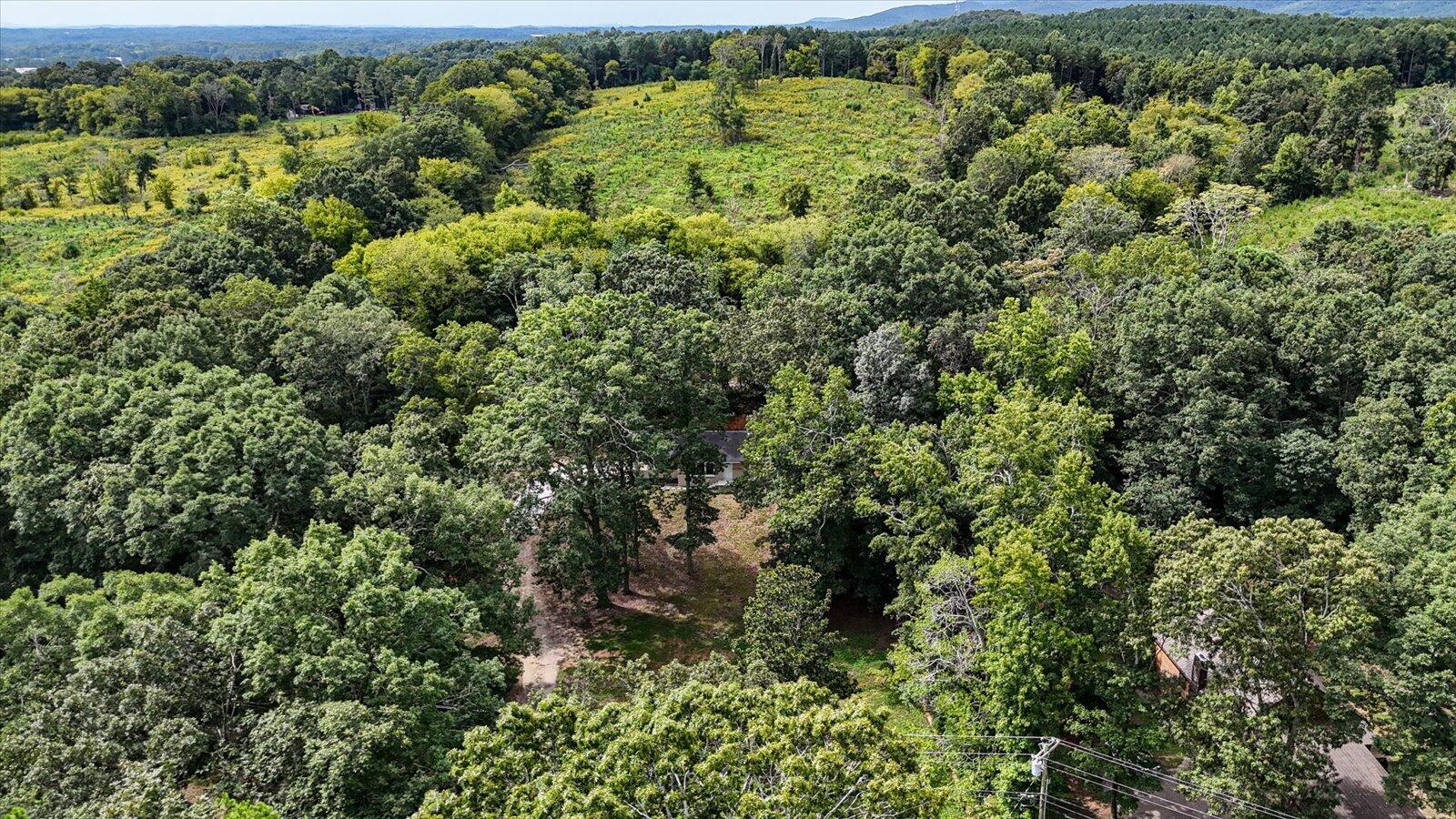 237 Southwest Forest Hill Road Dalton, GA 30720 - Photo 29 of 35 09-237 Forest Hill Rd drone-9