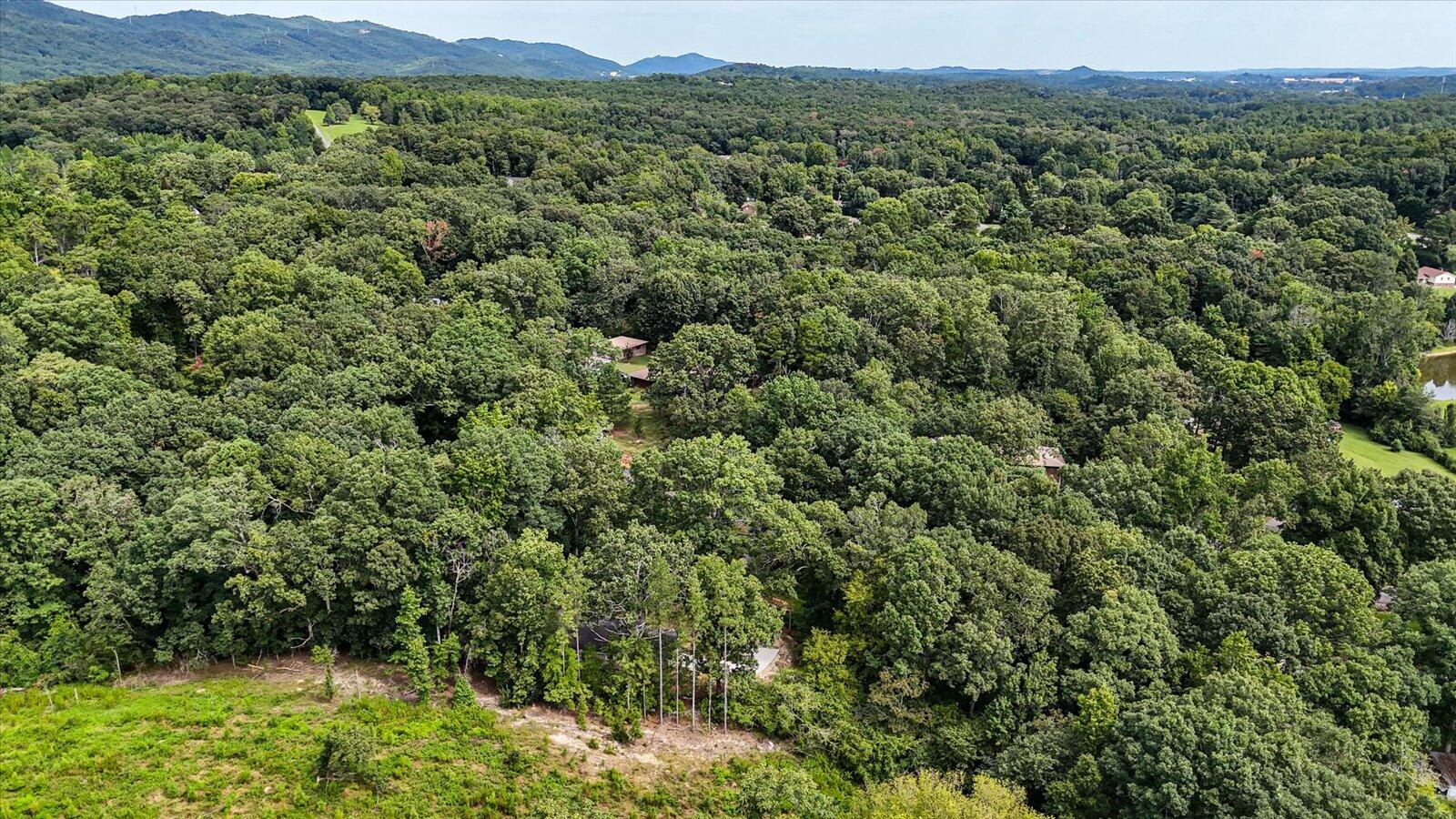 237 Southwest Forest Hill Road Dalton, GA 30720 - Photo 34 of 35 13-237 Forest Hill Rd drone-13