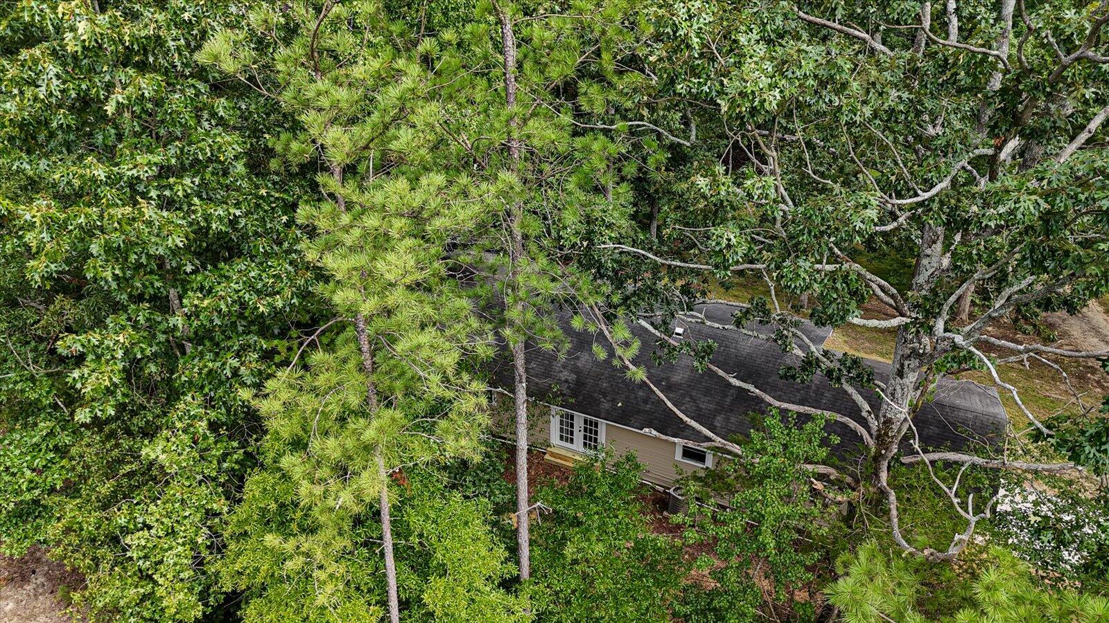 237 Southwest Forest Hill Road Dalton, GA 30720 - Photo 35 of 35 14-237 Forest Hill Rd drone-14