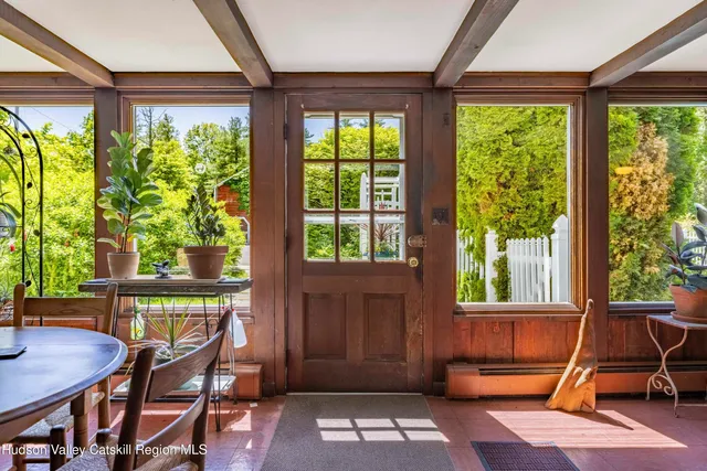 a close up of a plant in a garden