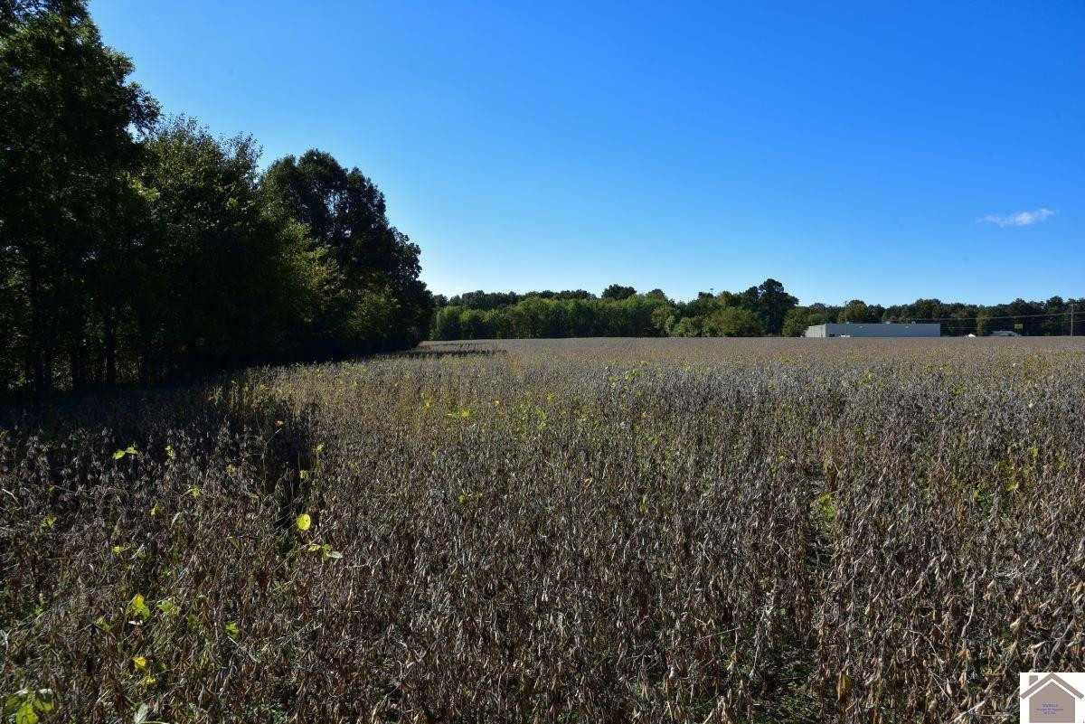 0 Kirksey Road Murray, KY 42071 - Photo 26 of 31 Photo 26
